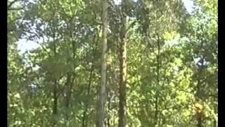 РЫБАЛКА НА ПРЕ МЕЩЕРА