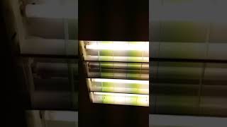 EOL fluorescent tube #18: Philips master 18W T8