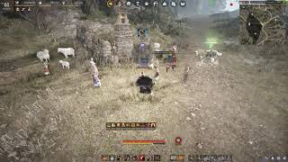 Black Desert, Найти беременную овцу (Finding the Pregnant Sheep)