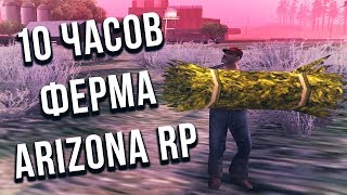 10 ЧАСОВ ФЕРМА  ARIZONA RP & АРИЗОНА РП & GTA SAMP & ARIZONA RP