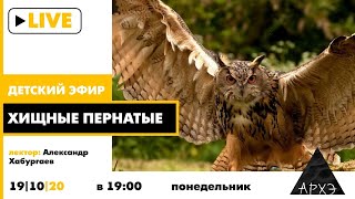 Детский эфир "Хищные пернатые" в рамках рубрики "Путешествия с натуралистом"