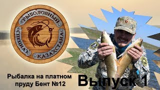 Выпуск 1. Рыбалка на платном пруду Бент №12. Рыбалка в Казахстане. Рыбалка в Алматы.