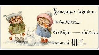 GS4082 «Подробности про австралийского друга».
