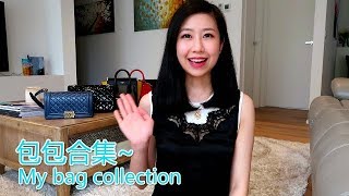 My Bag Collection part 1|我的包包合集 （上）|Vivian Wang