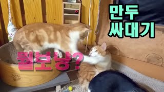 똘  깜냥 건드리다 만두 싸대기, 얼초파리들
