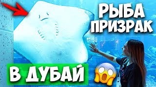 ЗДЕСЬ РЫБА ПРИЗРАК! САМЫЙ БОЛЬШОЙ АКВАРИУМ В МИРЕ! ОБЗОР ОКЕАНАРИУМА В ДУБАЕ 2020 ATLANTIS THE PALM!