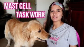 ? Training My Service Dog in Anaphylaxis Response ⚠️ (4/2/18)