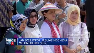 Harga Jagung Tembus Rekor Tertinggi Sejak 2012