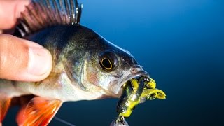 Street fishing in Gomel 04 07 15 Микроджиг