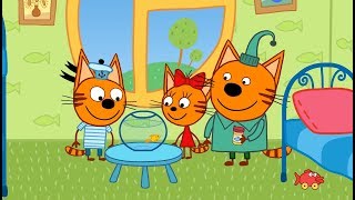 Три кота | Золотая рыбка | Серия 51 | Мультфильмы для детей