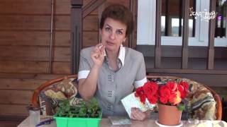 Биологическая защита растений Препарат БТБ и ЛПЦ