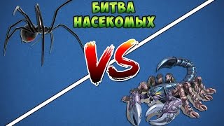 Подборка. СМЕРТЕЛЬНАЯ БИТВА НАСЕКОМЫХ!