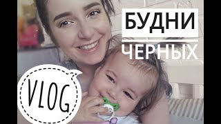 БУДНИ ЧЕРНЫХ / ЖАЛЕЮ ли ЧТО ПЕРЕЕХАЛИ? МАХАЧКАЛА  VS СТАВРОПОЛЬ | VLOG