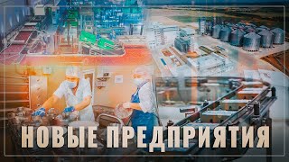 Россия становится аграрной сверхдержавой! Развитие пищевой промышленности идёт семимильными шагами!