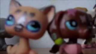 Lps music vidio : петшопы
