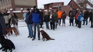 Eichstedter Hundewanderung Teil 1
