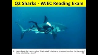 Q2 Sharks - WJEC GCSE English Language Reading Paper