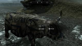 Skyrim- Красота скайрима, и настали темные дни. (The beauty of Skyrim, and dark days)