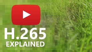 H.265 (HEVC) vs H.264 (AVC) Compression: Explained!