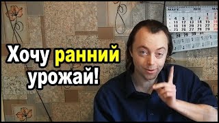 Посев томатов и перцев на рассаду для раннего урожая