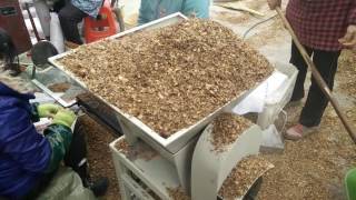 Mushroom media bag filling machine