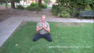 Monkey Kung Fu Badass Form!