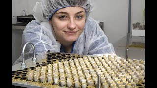 Indiva - How to roll 500 joints at once