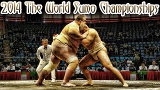 19-ый Чемпионат Мира по Сумо