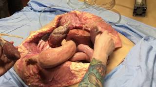 Bleeding Art Industries - Wynonna Earp s01e08 Practical Effects Autopsy Body Demo