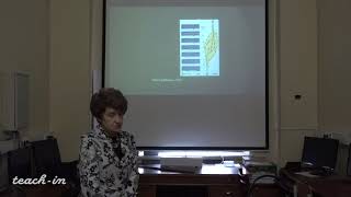 Фролова Н.C. - Экспериментальная тектоника - 2. Принципы аналогового физического моделирования