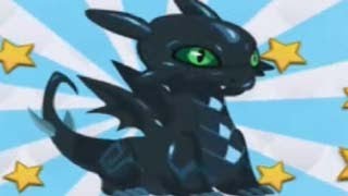 DARK DRAGON Review in Dragon City Attacks and Level Up Fast