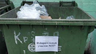 Избиратель - ты клоун! Голос в урну! Морду в намордник!