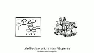 Using Bio-Slurry  as an organic manure