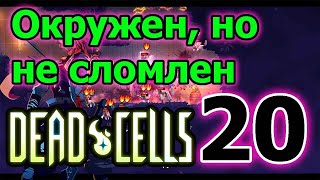 Ближнебойный лук пехотинца  // Мертвые клетки // Dead Cells Прохождение ► 20 серия