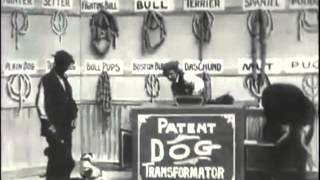 Illegal Hot Dog Factory - Exclusive Video - Shocking