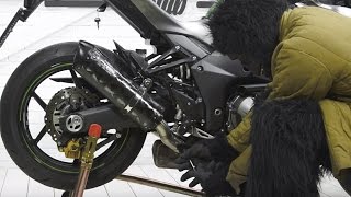 Two Brothers Exhaust & JBP Installation Z1000