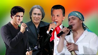 LEO DAN, KING CLAVE, PALITO ORTEGA, LEONARDO FAVIO ÉXITOS SUS MEJORES CANCIONES - 32 GRANDES EXITOS