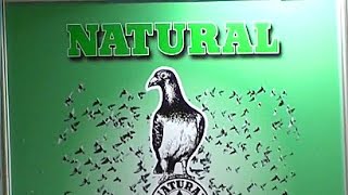 Güvercin İlaçları - Natural Granen Türkiye - Mete İthalat ve İhracat
