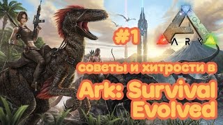 СОВЕТЫ и СЕКРЕТЫ Ark: Survival Evolved #1 Как играть?