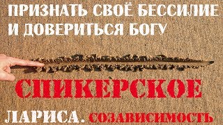 Спикерское  Лариса  Созависимость