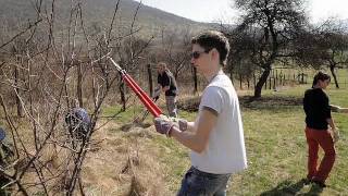 4.E praxe maďarsko
