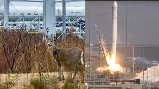 NG-15 Antares 230+ launches S.S. Katherine Johnson Cygnus