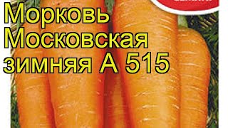 Морковь Московская зимняя А 515. Краткий обзор, описание характеристик daucus carota