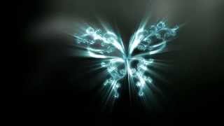 butterfly animation (Work in Progress!!)