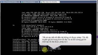 Tấn công DoS - DDos