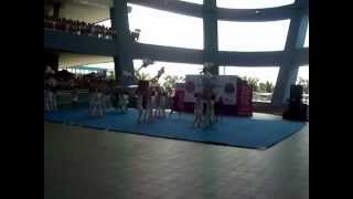 CAA National high School - Main Stingrays