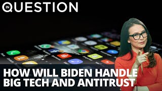 Big Tech critics alarmed at possible picks for Biden Antitrust personnel