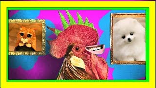 СМЕШНЫЕ ЖИВОТНЫЕ  Танцуют СКИБИДИ  ПАРОДИЯ ТАНЕЦ  СМЕШНОЕ Видео про животных!  Животные приколы