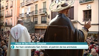 Bendición de animales por San Antón