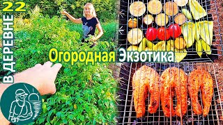 ???? Экзотика в огороде Рецепты: овощи и рыба на мангале Жизнь Гордеевых в деревне - Влог 22